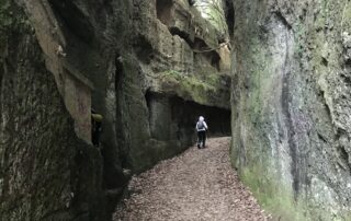 Tagliata di Sant'Egidio