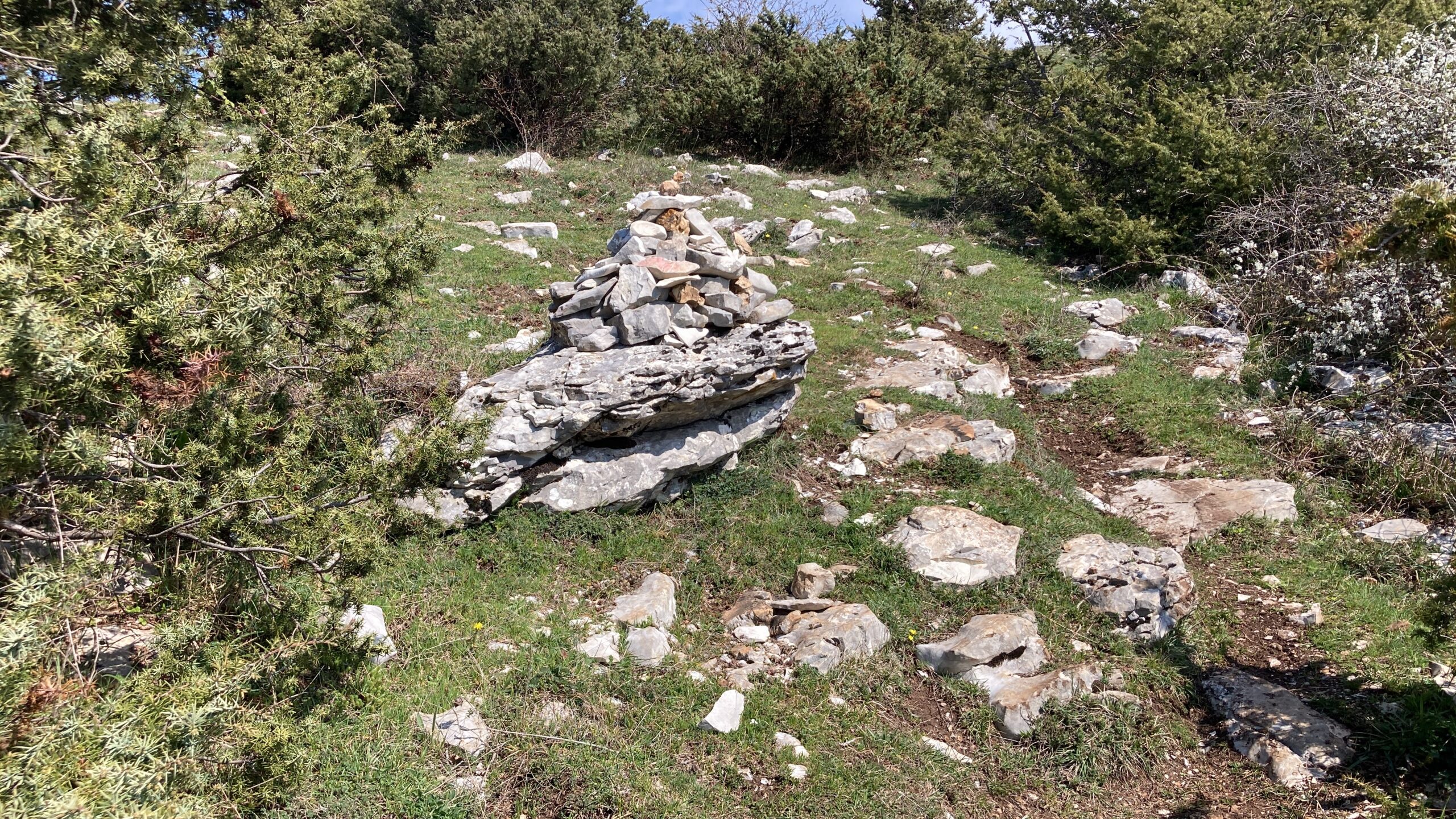 4B0C9958-F260-4491-A6B4-9632887438E1